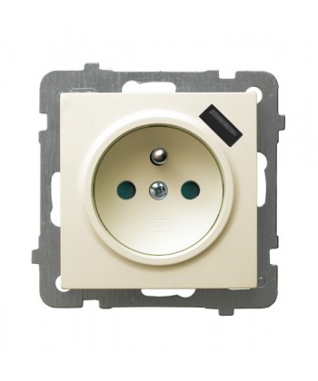 AS Gniazdo pojedyncze z uziemieniem z przesłonami torów prądowych, z ładowarką USB Ref_GP-1GZPUSB/m/27