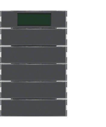 Przycisk 5-krotny z regulatorem temperatury i wyświetlaczem; antracyt; K.1